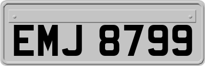 EMJ8799