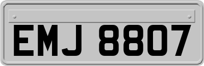 EMJ8807