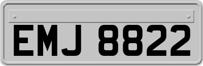 EMJ8822