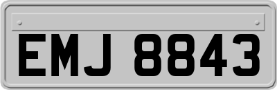 EMJ8843