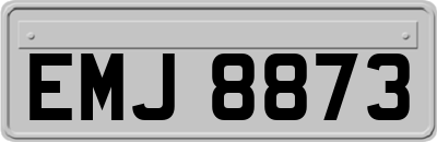 EMJ8873