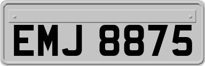 EMJ8875
