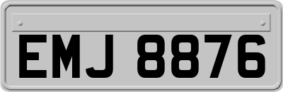 EMJ8876