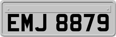 EMJ8879
