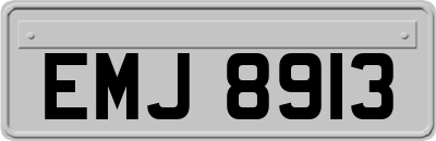 EMJ8913