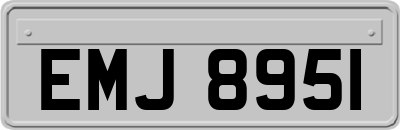 EMJ8951
