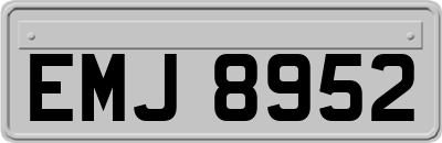EMJ8952