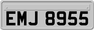EMJ8955