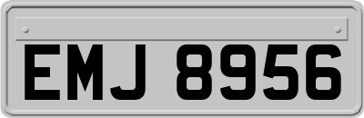 EMJ8956