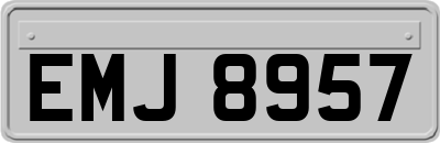 EMJ8957