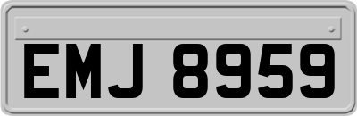 EMJ8959