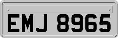 EMJ8965