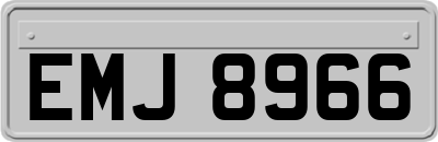 EMJ8966