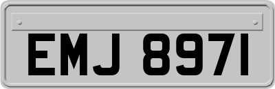 EMJ8971