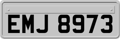 EMJ8973