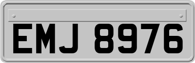 EMJ8976