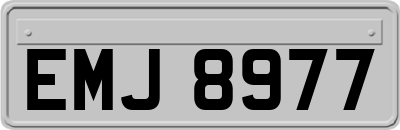 EMJ8977