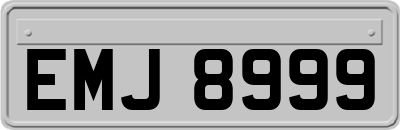 EMJ8999