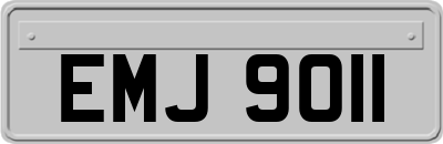 EMJ9011