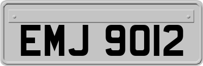 EMJ9012