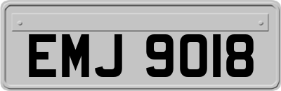 EMJ9018