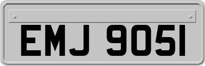 EMJ9051
