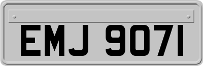 EMJ9071