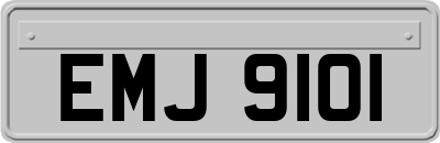 EMJ9101