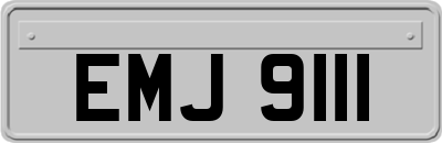 EMJ9111