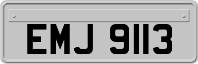 EMJ9113