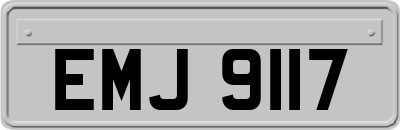 EMJ9117