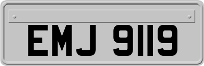 EMJ9119