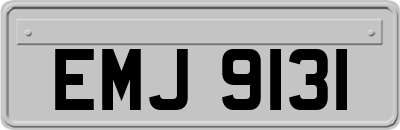 EMJ9131
