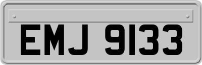 EMJ9133