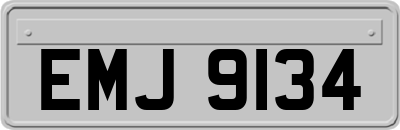 EMJ9134