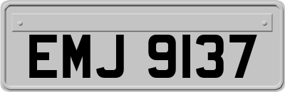 EMJ9137