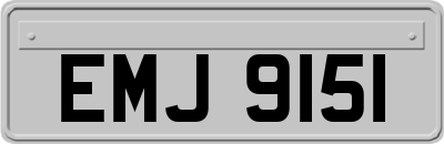 EMJ9151
