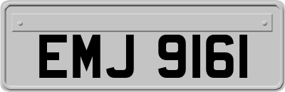 EMJ9161