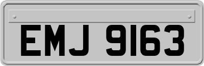 EMJ9163