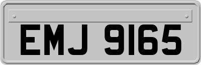 EMJ9165