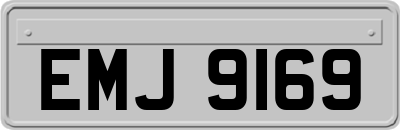 EMJ9169