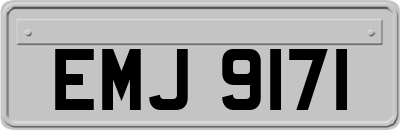 EMJ9171