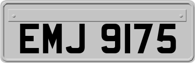 EMJ9175