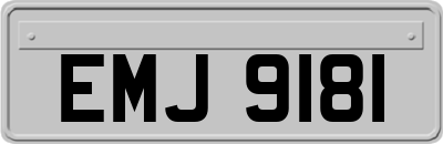 EMJ9181