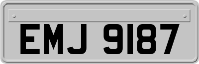 EMJ9187