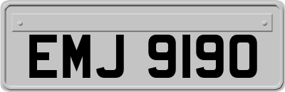 EMJ9190