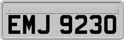EMJ9230