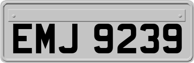EMJ9239