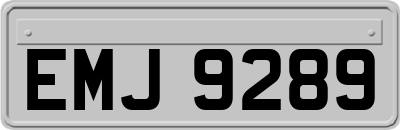 EMJ9289