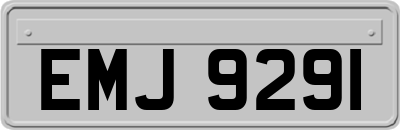 EMJ9291
